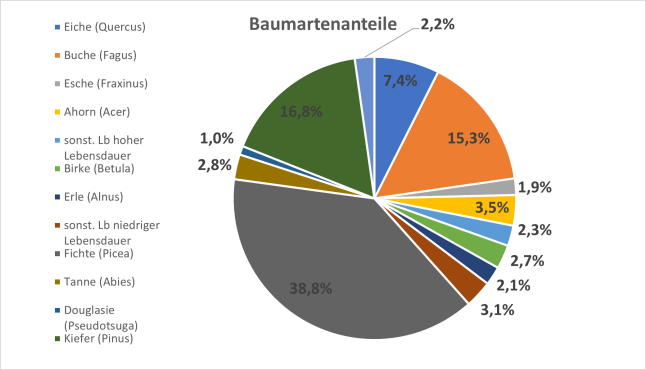 Tortendiagramm zeigt Baumartenanteile in Bayern